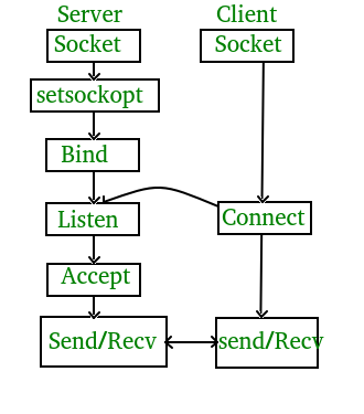 Python Client Server Socket Programming  Logic Finder