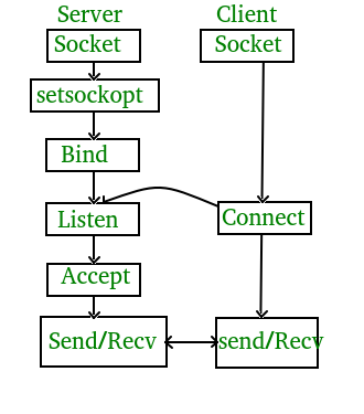 c socket connect GeeksforGeeks Programming in   C/C  Socket